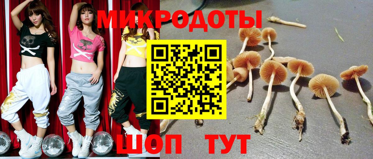 Галлюциногенные грибы Magic Shrooms  Вход с VPN  Чехов 