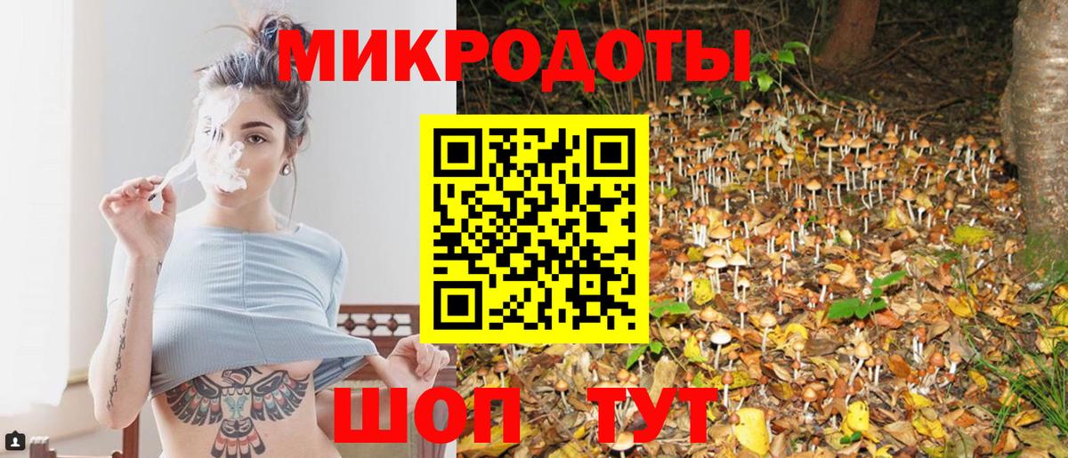 Псилоцибиновые грибы Psilocybe Чехов